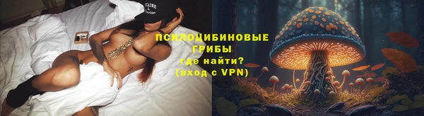 МДПВ Горно-Алтайск