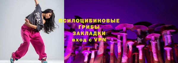 хмурый Горняк
